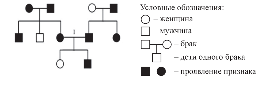 По изображенной на рисунке родословной определите и объясните характер