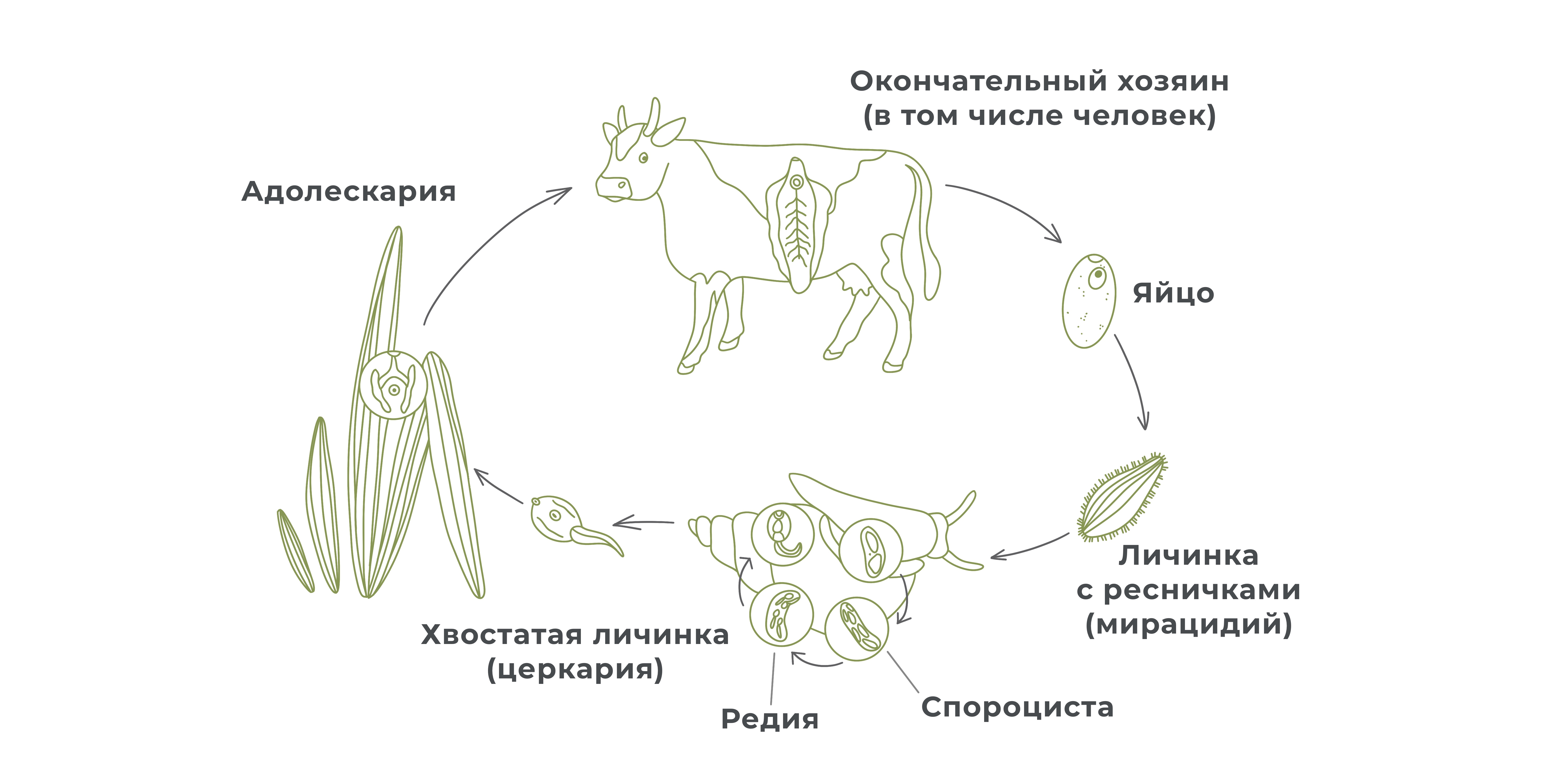 4ECDC7D8-299A-4AE7-8331-A00A385E0145.jpeg (1.00 MB)