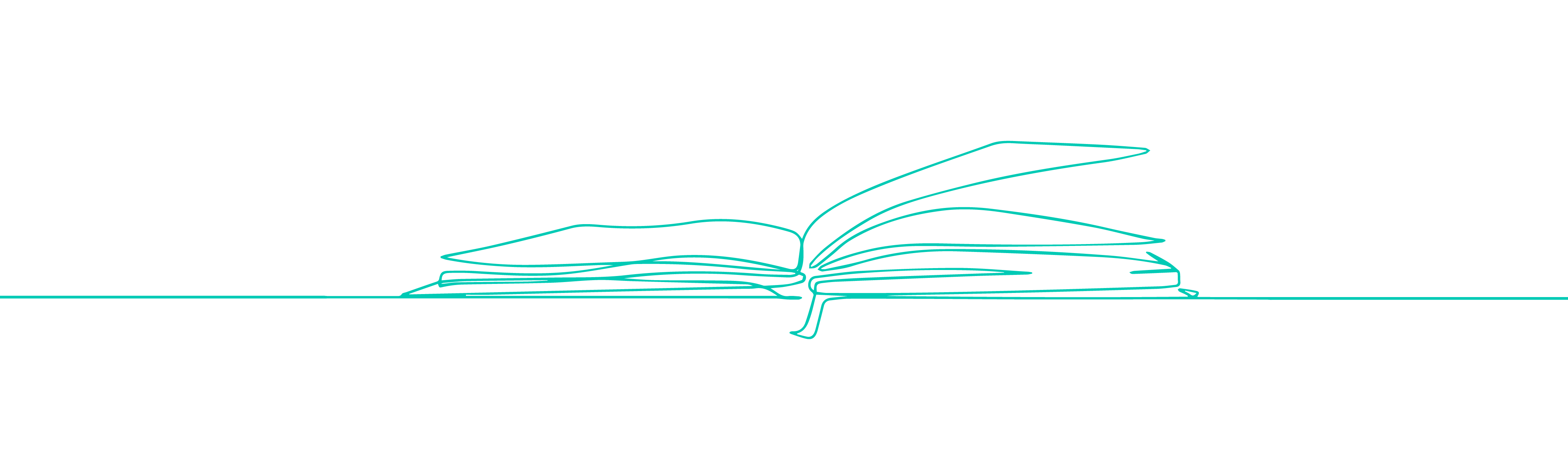 Открытая книга