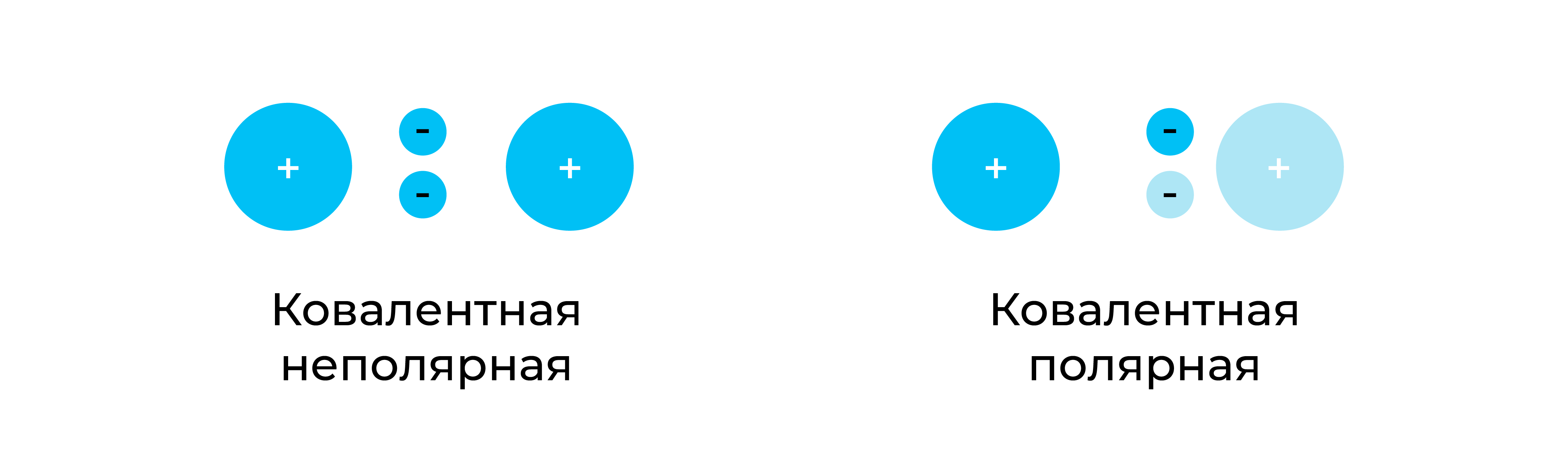 Ковалентная полярная и ковалентная неполярная связи