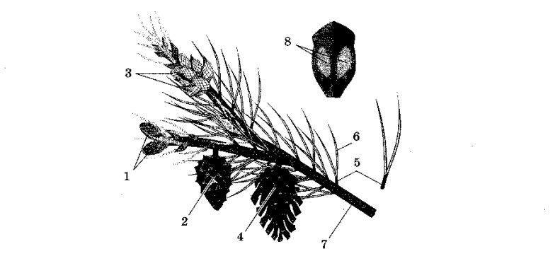 Решения и ответы к заданиям ЕГЭ-2023